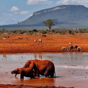 2 Days Tsavo East 300x300