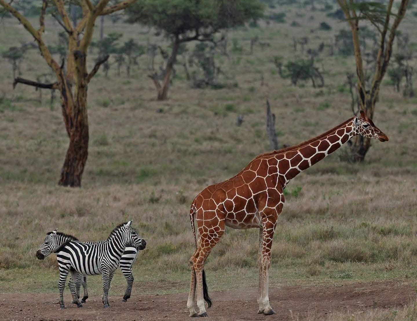 3 Day Maasai Mara Safari